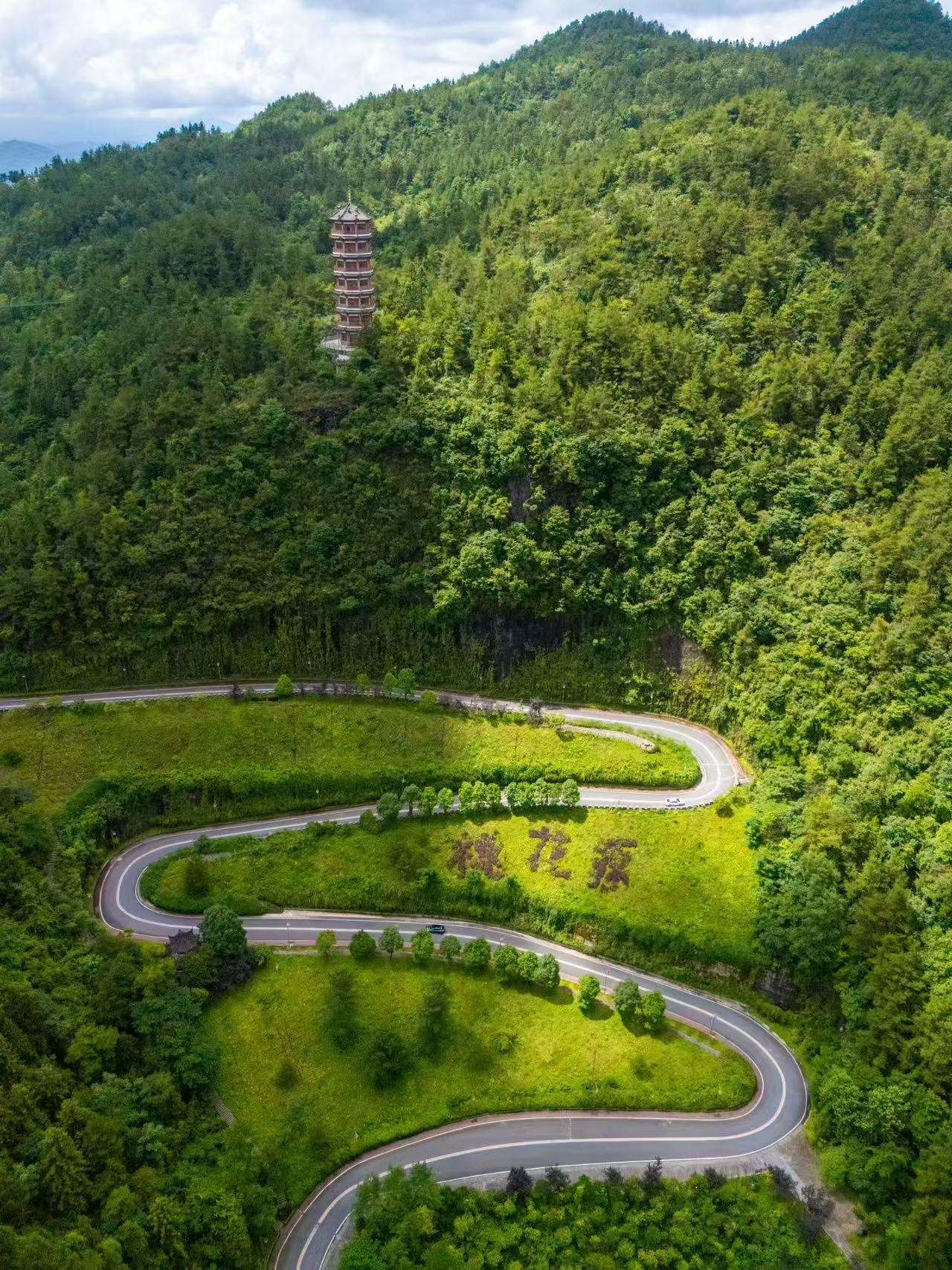酒店优美的康养环境。资料图.jpg