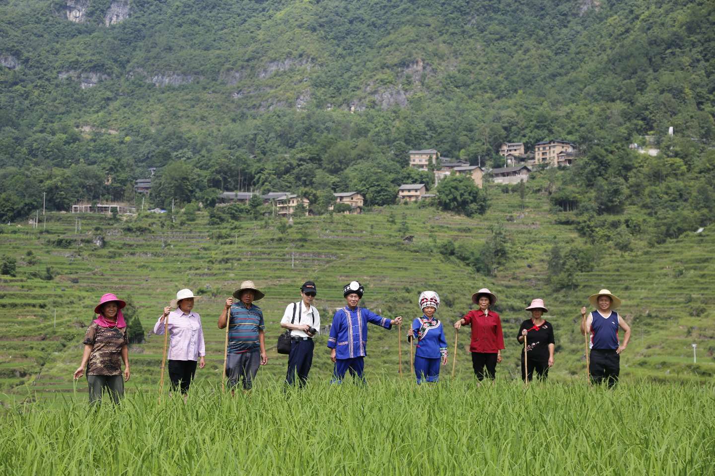 熊正禄与他的团队在田间劳作传唱薅秧号子。（汪登平摄）.JPG