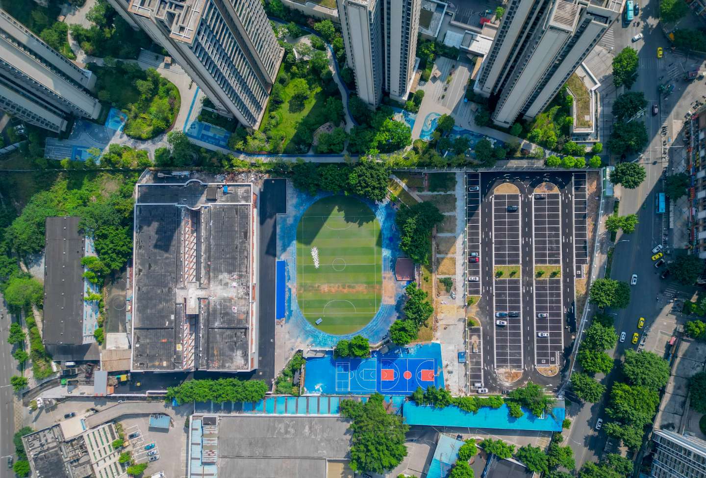 重庆市九龙坡区人民政府(图4)