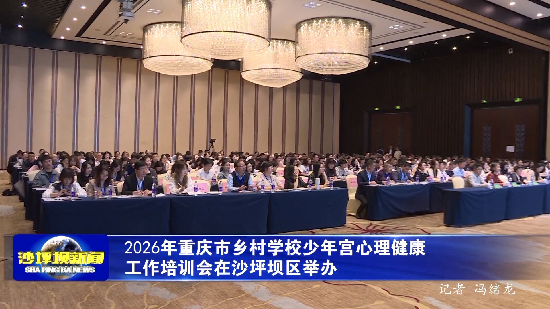 2026年重庆市乡村学校少年宫心理健康工作培训会在沙坪坝区举办