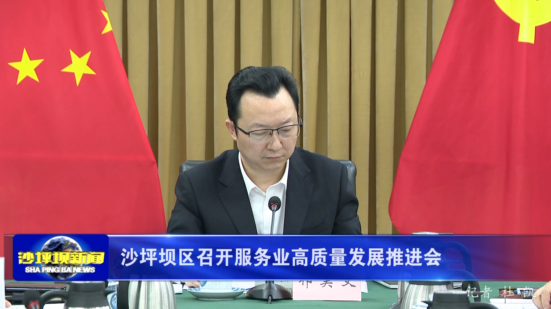 沙坪坝区召开服务业高质量发展推进会