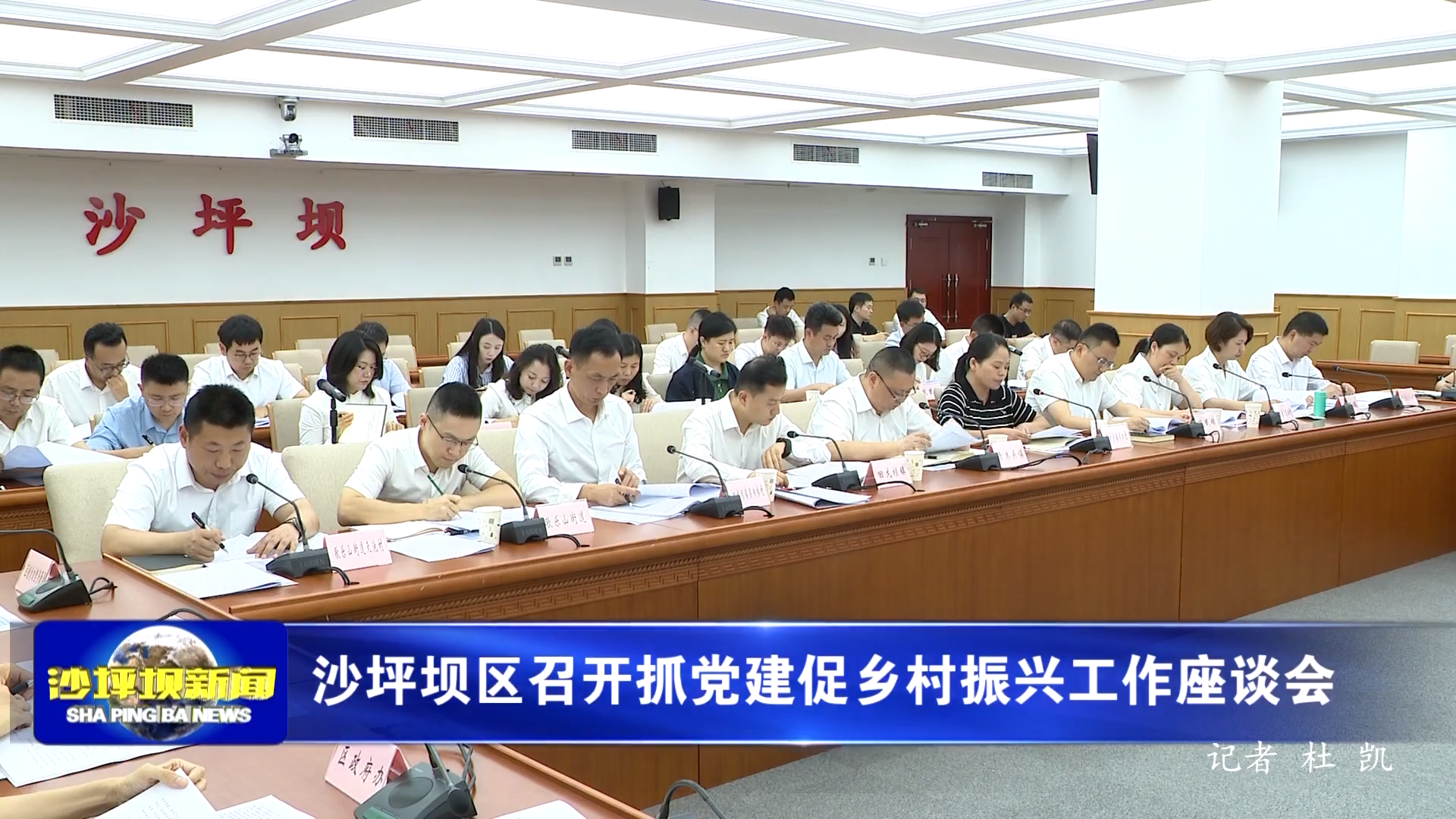 沙坪坝区召开抓党建促乡村振兴工作座谈会