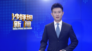 沙坪坝区召开百日攻坚行动工作调度会议暨重点工作部署推进会议